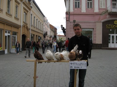 а тепер - для голуб│в