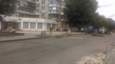 13933285_922411681200694_808977142_n