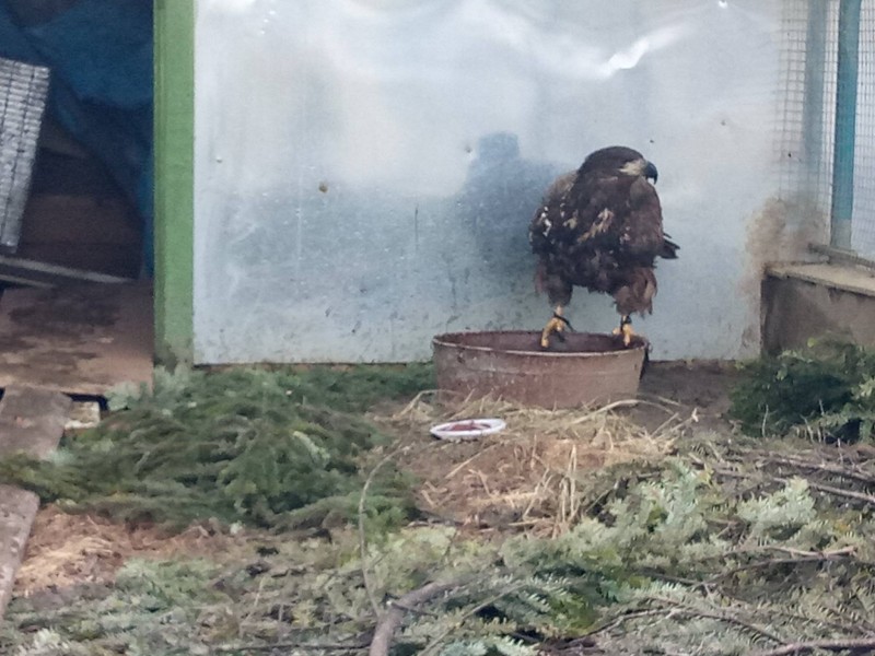 27907770_581685325523274_265156505020017583_o