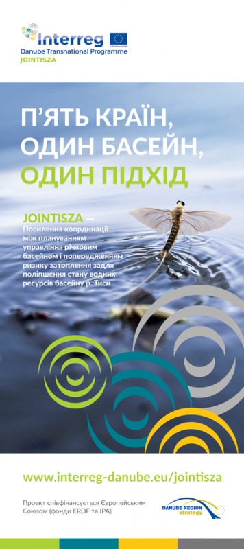 Mayfly (Polingenia longicauda) in the Tisza River