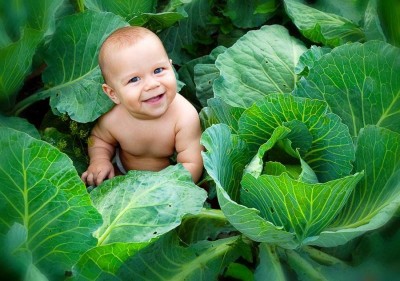 baby_in_cabbage
