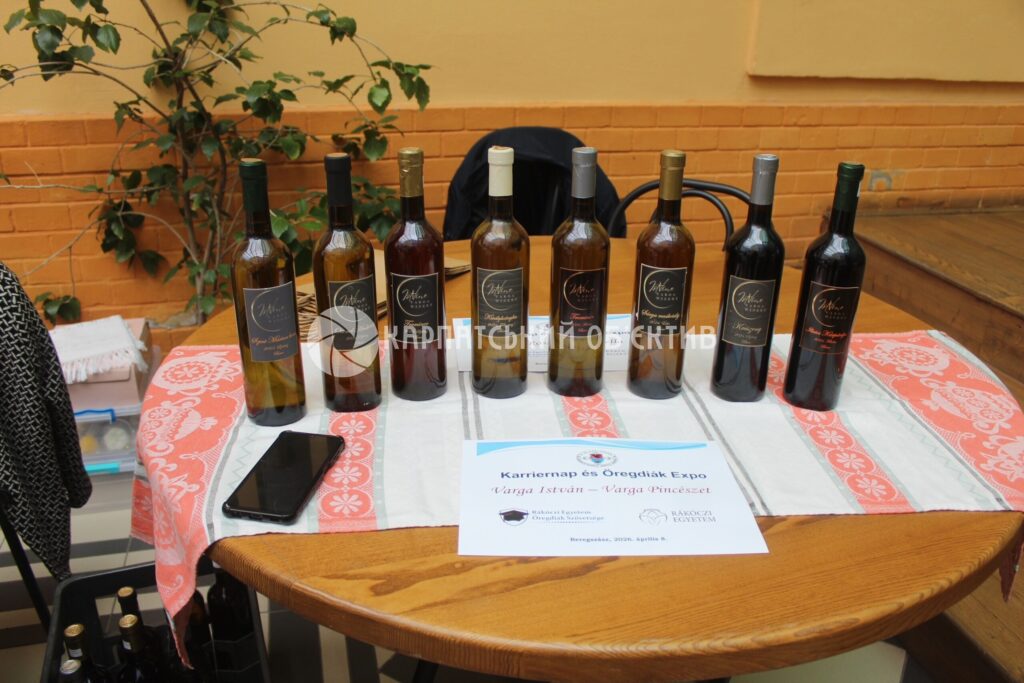 В Університеті Ракоці провели День кар’єри та ярмарок випускників