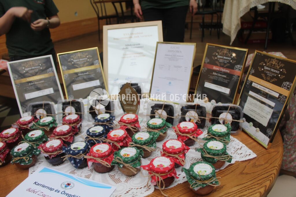 В Університеті Ракоці провели День кар’єри та ярмарок випускників